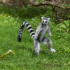 Velikonoční nadílka, foto: Václav Šilha, Zoo Praha