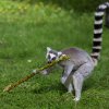 Velikonoční nadílka, foto: Václav Šilha, Zoo Praha