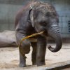 Velikonoční nadílka, foto: Václav Šilha, Zoo Praha