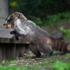 Velikonoční nadílka, foto: Václav Šilha, Zoo Praha
