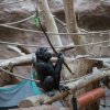 Velikonoční nadílka, foto: Václav Šilha, Zoo Praha