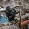 Velikonoční nadílka, foto: Václav Šilha, Zoo Praha