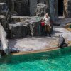 Foto: Archiv Zoo Praha