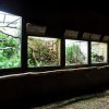 Foto: Tomáš Adamec, Zoo Praha