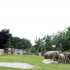 Foto: Tomáš Adamec, Zoo Praha