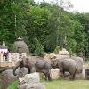 Foto: Tomáš Adamec, Zoo Praha