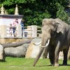 Foto: Tomáš Adamec, Zoo Praha