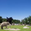 Foto: Tomáš Adamec, Zoo Praha