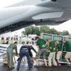 Nakládka koní ve Kbelích. Transportní bedny s koňmi naložíme v Praze do armádního letounu CASA. Po posledním přistání v Mongolsku čeká koně ještě náročná cesta po zemi do místa vypouštění. Foto: Tomáš Adamec, Zoo Praha; 2012