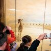 BB kampaňě 7. nejlepší zoo na světě, foto: Petr Hamerník, Zoo Praha