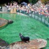 BB kampaňě 7. nejlepší zoo na světě, foto: Petr Hamerník, Zoo Praha