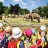 BB kampaňě 7. nejlepší zoo na světě, foto: Profimedia.cz