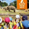 CL kampaňě 7. nejlepší zoo na světě, foto: Profimedia.cz