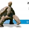 (c) Zoo Praha