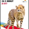 (c) Zoo Praha