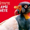 (c) Zoo Praha