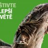 (c) Zoo Praha