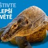 (c) Zoo Praha