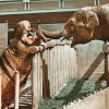 Baby natahuje chobot k Petrovi. Pověsti o „přátelství“ slona a hrocha mohou být nadsazené, ale mají pravdivé jádro.