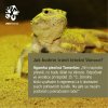 (c) Zoo Praha