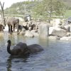 Foto: Tomáš Adamec, Zoo Praha