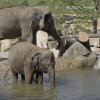 Foto: Tomáš Adamec, Zoo Praha