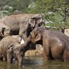 Foto: Tomáš Adamec, Zoo Praha