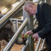 Profesor Josef Koutecký popřál Sitě hlavně dlouhý a spokojený život. Petr Hamerník, Zoo Praha