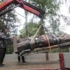 Instalace sochy Radegasta v pražské zoo u výběhu vlků. Martin Smrček, Zoo Praha
