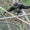 Samec Flip se osmělil a ven se vypravil jako první. Foto: Petr Hamerník, Zoo Praha
