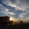 Dosud nejrychlejší transport koní Převalského do Mongolska trval necelých 33 hodin. Po sedmnáctihodinovém letu následoval dvěstěkilometrový pozemní přesun do národního parku Gobi B. Foto: Petr Josek, Zoo Praha