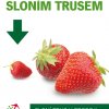 Citylight nové kampaně Nehnojeno sloním trusem