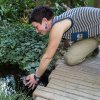 Po zdárném odchovu v zázemí byla mláďata kachniček obojkových vypuštěna zpět do pavilonu Sečuán. Foto: Petr Hamerník, Zoo Praha