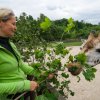 Pohled z očí do očí. Petr Hamerník, Zoo Praha 