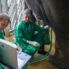 Dr. Thomas Hildebrandt se svou asistentkou provádějí ultrazvukové vyšetření slonice Janity. Foto: Petr Hamerník, Zoo Praha