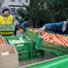 Na Vánoce mohou všichni návštěvníci pražské zoo přinést zvířatům dárky v podobě sušeného ovoce, pečiva, ořechů a podobného. Foto: Petr Hamerník, Zoo Praha