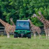 Foto: Archiv Zoo Praha