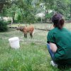 Foto: Archiv Zoo Praha