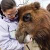 Foto: Archiv Zoo Praha