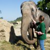 Foto: Archiv Zoo Praha