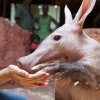 Foto: Archiv Zoo Praha