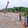 Foto: Archiv Zoo Praha