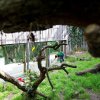 Foto: Archiv Zoo Praha