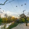 Foto: Petr Hamerník, Zoo Praha