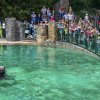 Foto: Petr Hamerník, Zoo Praha