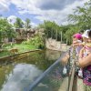 Foto: Petr Hamerník, Zoo Praha