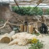 Foto: Petr Hamerník, Zoo Praha