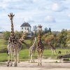 Foto: Petr Hamerník, Zoo Praha