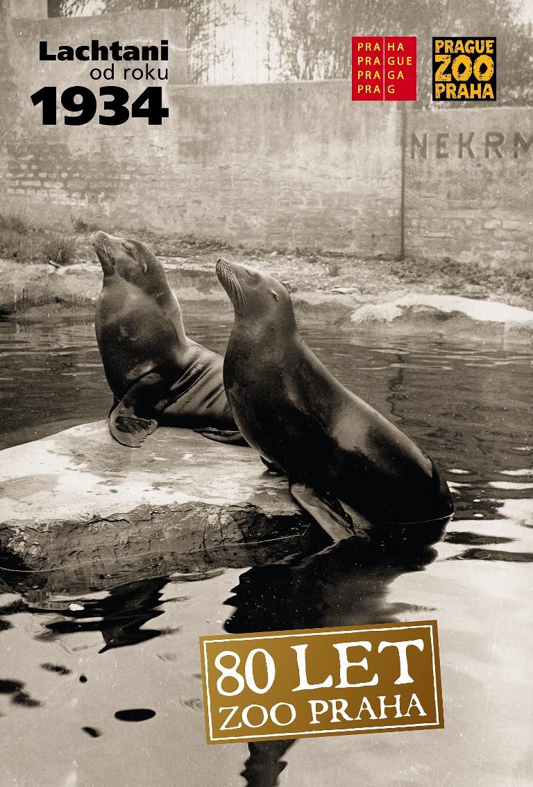 Lachtany Batula a Hýtu připomíná Zoo Praha mj. kampaní k 80. výročí svého založení (foto: R. Pavlovič)
