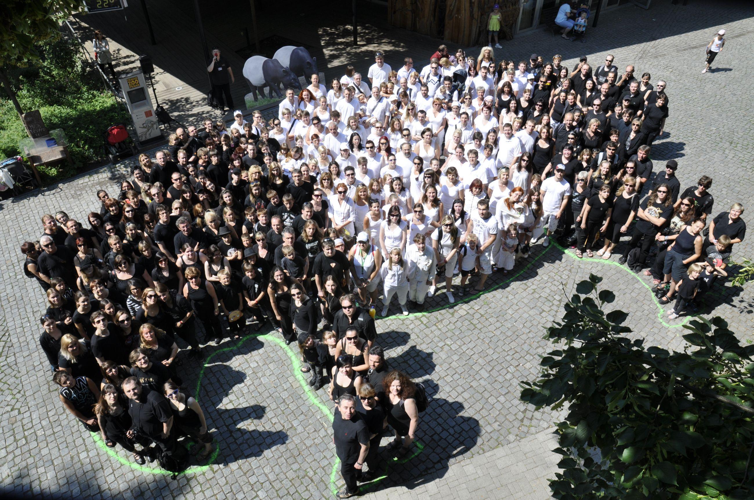 Černobílý den v Zoo Praha 11. 6. 2011, foto (c) Jiří Trojánek